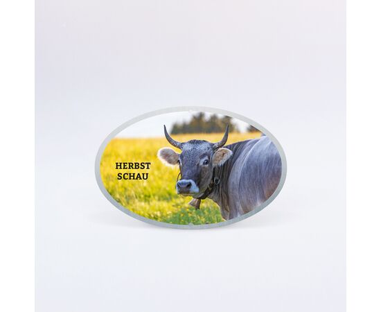 Plakette oval / Plaquette ovale