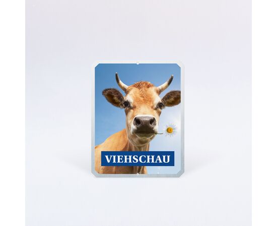 Plakette Rechteck, Standard / Plaquette rectangle, standard